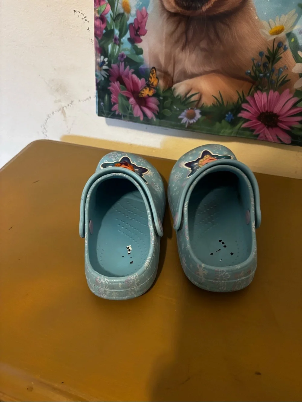 Disney Light Blue Frozen Anna & Elsa Slip-On Clogs